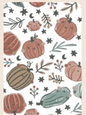 NEW Honest Diapers Size 2 Pumpkin “ Bum-kin Patch “ Print RARE HTF Baby Limited